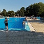 Bild (72)